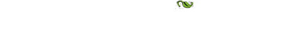 ONORANZE FUNEBRI L'ANNUNZIATA S.A.S.