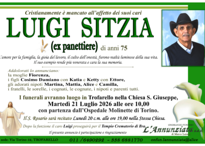 Luigi Sitzia